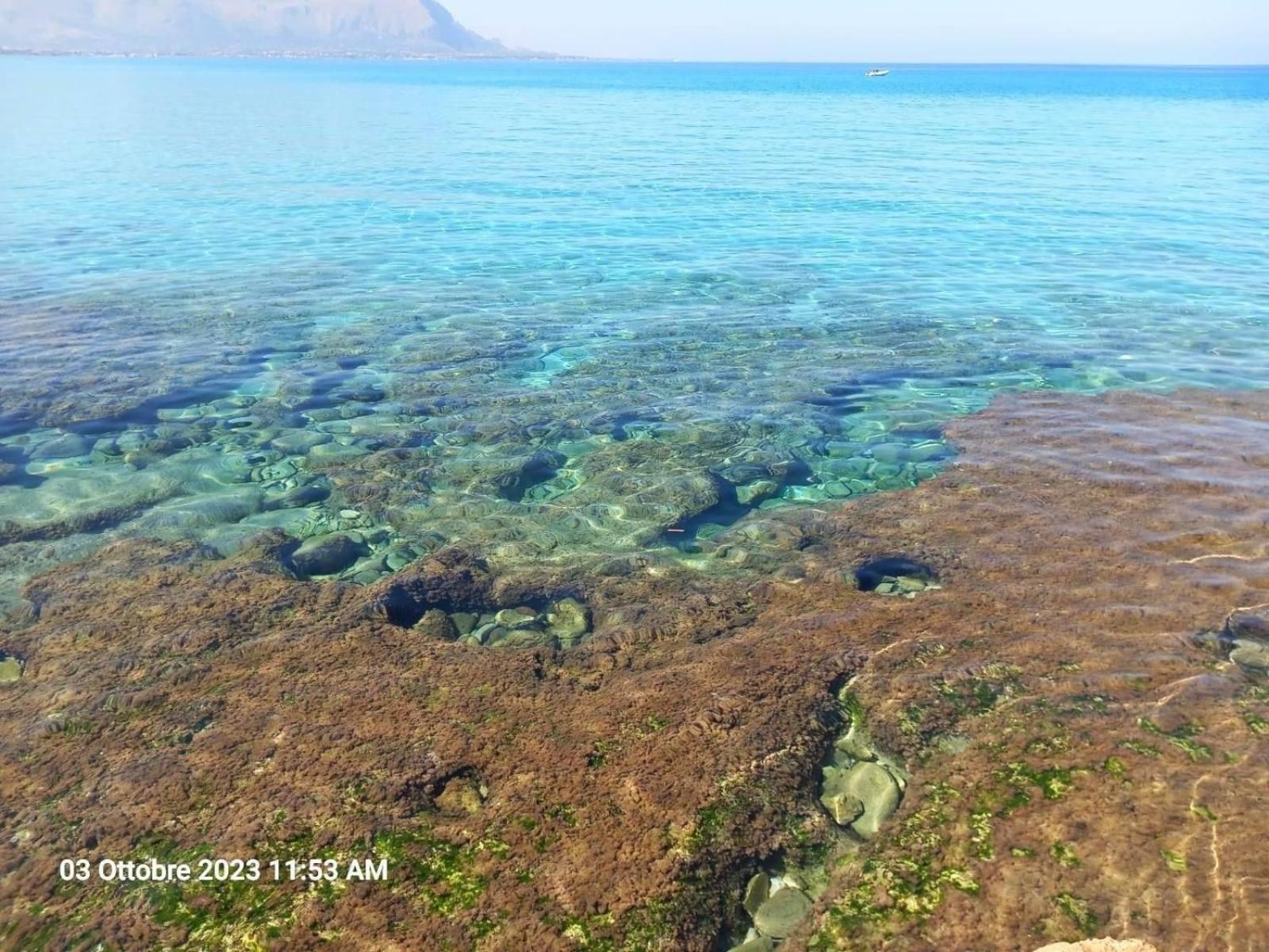 Il Cortile Isola Casa Vacanze Изола-делле-Феммине Экстерьер фото